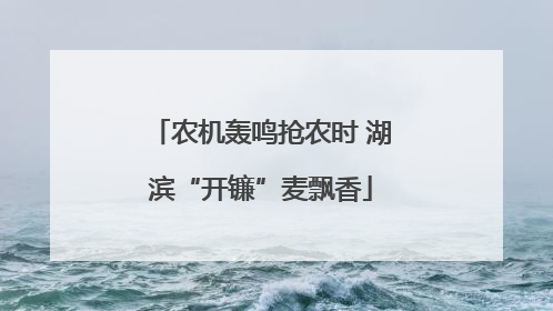 农机轰鸣抢农时 湖滨“开镰”麦飘香