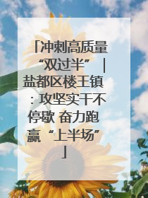 冲刺高质量“双过半”｜盐都区楼王镇：攻坚实干不停歇 奋力跑赢“上半场”
