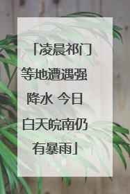 凌晨祁门等地遭遇强降水 今日白天皖南仍有暴雨