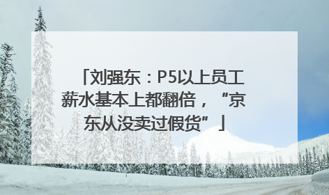 刘强东：P5以上员工薪水基本上都翻倍，“京东从没卖过假货”