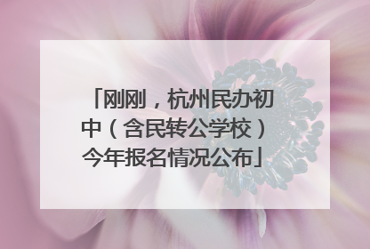 刚刚，杭州民办初中（含民转公学校）今年报名情况公布