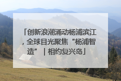创新浪潮涌动杨浦滨江，全球目光聚焦“杨浦智造”｜相约复兴岛