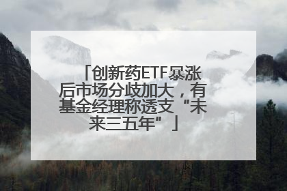 创新药ETF暴涨后市场分歧加大，有基金经理称透支“未来三五年”