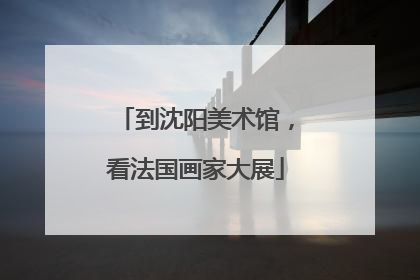 到沈阳美术馆，看法国画家大展