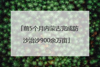 前5个月内蒙古完成防沙治沙900余万亩