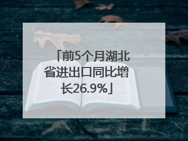 前5个月湖北省进出口同比增长26.9%
