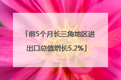 前5个月长三角地区进出口总值增长5.2%