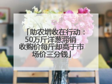 助农增收在行动：50万斤洋葱滞销 收购价每斤却高于市场价三分钱
