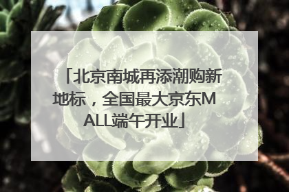 北京南城再添潮购新地标，全国最大京东MALL端午开业