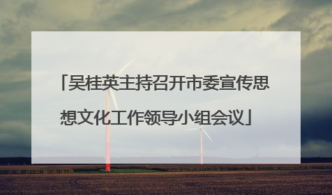 吴桂英主持召开市委宣传思想文化工作领导小组会议