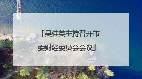 吴桂英主持召开市委财经委员会会议