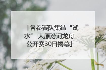各参赛队集结“试水” 太原汾河龙舟公开赛30日揭幕