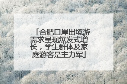 合肥口岸出境游需求呈现爆发式增长，学生群体及家庭游客是主力军