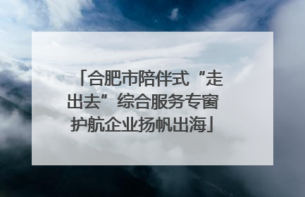 合肥市陪伴式“走出去”综合服务专窗护航企业扬帆出海