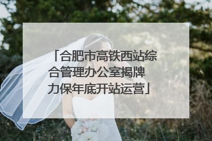 合肥市高铁西站综合管理办公室揭牌 力保年底开站运营