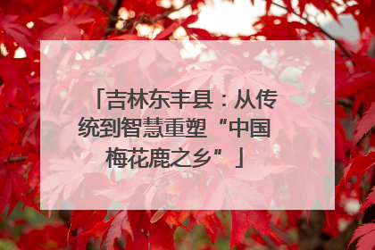 吉林东丰县：从传统到智慧重塑“中国梅花鹿之乡”