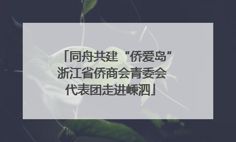 同舟共建“侨爱岛” 浙江省侨商会青委会代表团走进嵊泗