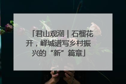 君山观潮｜石榴花开，峄城谱写乡村振兴的“新”篇章