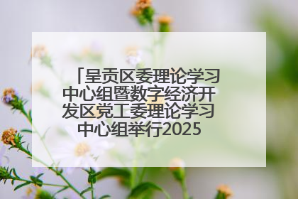 呈贡区委理论学习中心组暨数字经济开发区党工委理论学习中心组举行2025年第七次学习会议