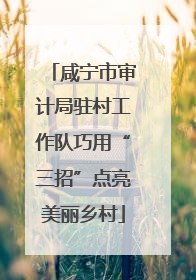 咸宁市审计局驻村工作队巧用“三招”点亮美丽乡村