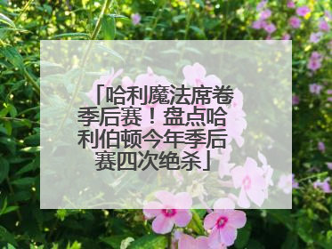 哈利魔法席卷季后赛！盘点哈利伯顿今年季后赛四次绝杀