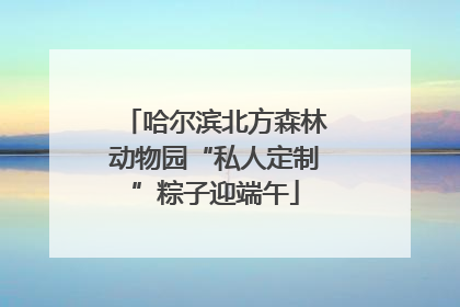 哈尔滨北方森林动物园“私人定制”粽子迎端午