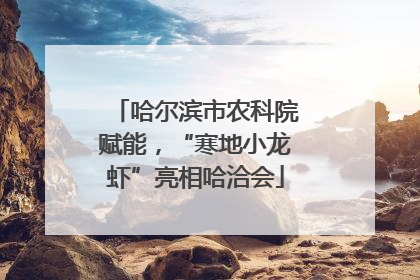 哈尔滨市农科院赋能，“寒地小龙虾”亮相哈洽会
