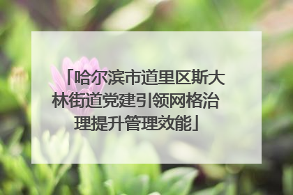 哈尔滨市道里区斯大林街道党建引领网格治理提升管理效能
