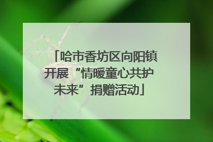 哈市香坊区向阳镇开展“情暖童心共护未来”捐赠活动
