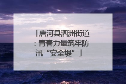 唐河县泗洲街道：青春力量筑牢防汛“安全堤”