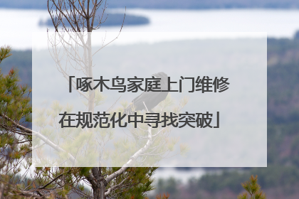 啄木鸟家庭上门维修在规范化中寻找突破