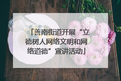 善南街道开展“立德树人网络文明和网络道德”宣讲活动