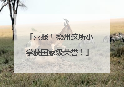 喜报！德州这所小学获国家级荣誉！