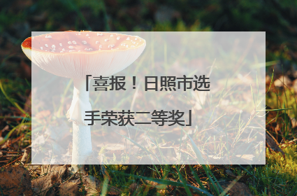 喜报！日照市选手荣获二等奖