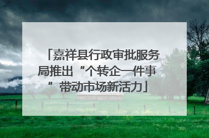 嘉祥县行政审批服务局推出“个转企一件事”带动市场新活力