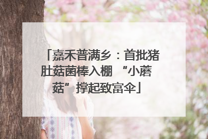 嘉禾普满乡：首批猪肚菇菌棒入棚 “小蘑菇”撑起致富伞