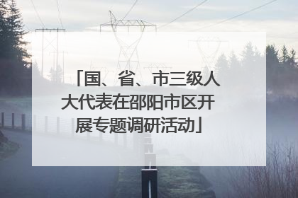 国、省、市三级人大代表在邵阳市区开展专题调研活动