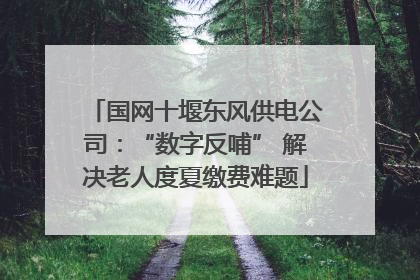 国网十堰东风供电公司：“数字反哺” 解决老人度夏缴费难题