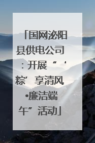国网泌阳县供电公司：开展“‘粽’享清风 •廉洁端午”活动