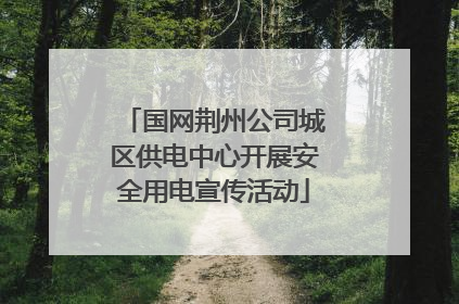 国网荆州公司城区供电中心开展安全用电宣传活动