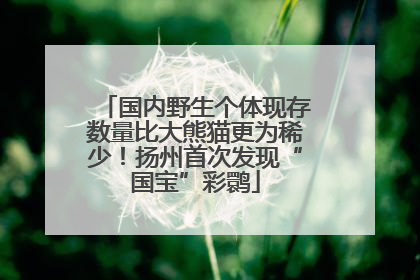 国内野生个体现存数量比大熊猫更为稀少！扬州首次发现“国宝”彩鹮