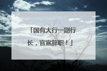 国有大行一副行长，官宣辞职！