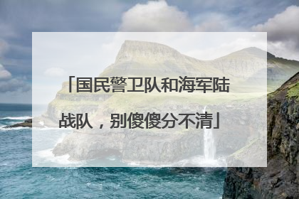 国民警卫队和海军陆战队，别傻傻分不清
