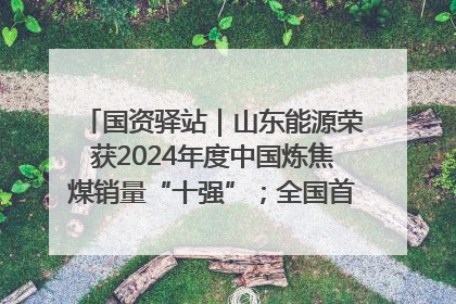 国资驿站｜山东能源荣获2024年度中国炼焦煤销量“十强”；全国首例铁路盖上智慧物流园钢结构主体完工