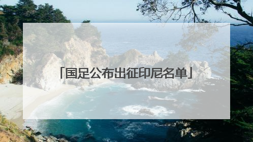 国足公布出征印尼名单