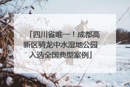 四川省唯一！成都高新区骑龙中水湿地公园入选全国典型案例