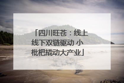 四川旺苍：线上线下双链驱动 小枇杷撬动大产业