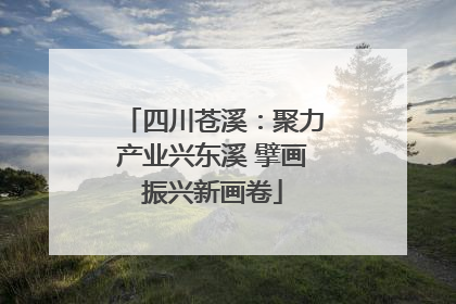 四川苍溪：聚力产业兴东溪 擘画振兴新画卷