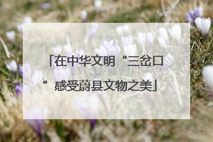 在中华文明“三岔口”感受蔚县文物之美