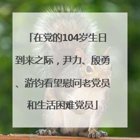 在党的104岁生日到来之际，尹力、殷勇、游钧看望慰问老党员和生活困难党员